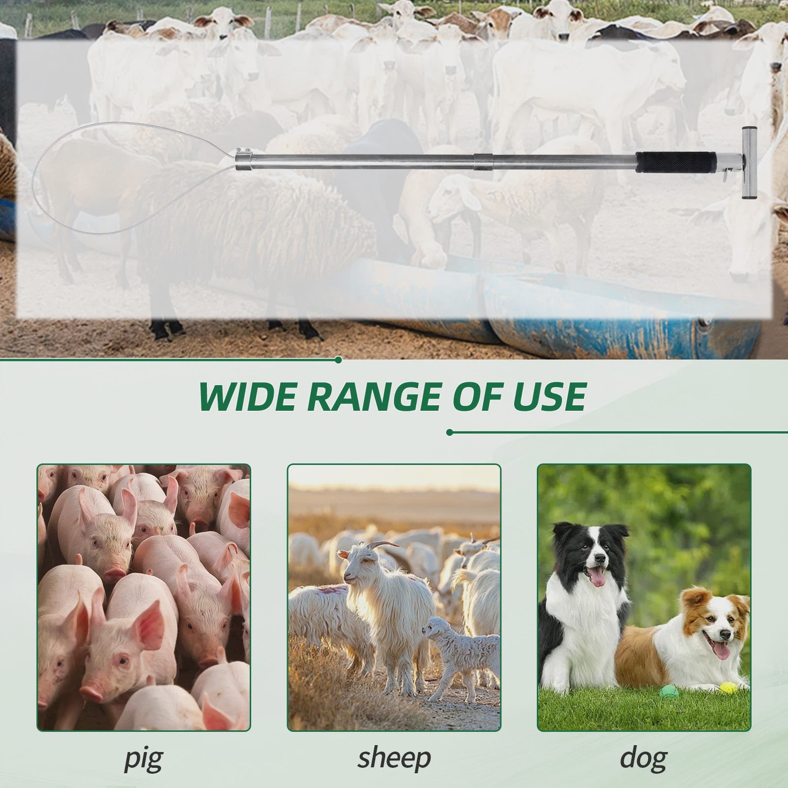 RVS Vangstok voor Varkens en Dieren - Uitschuifbaar met Lus - Efficiënt en Gebruiksvriendelijk