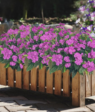 Zijden Balsam Kunstbloemen - Hoge Kwaliteit Decoratie voor Bruiloft, Tafel & Tuin