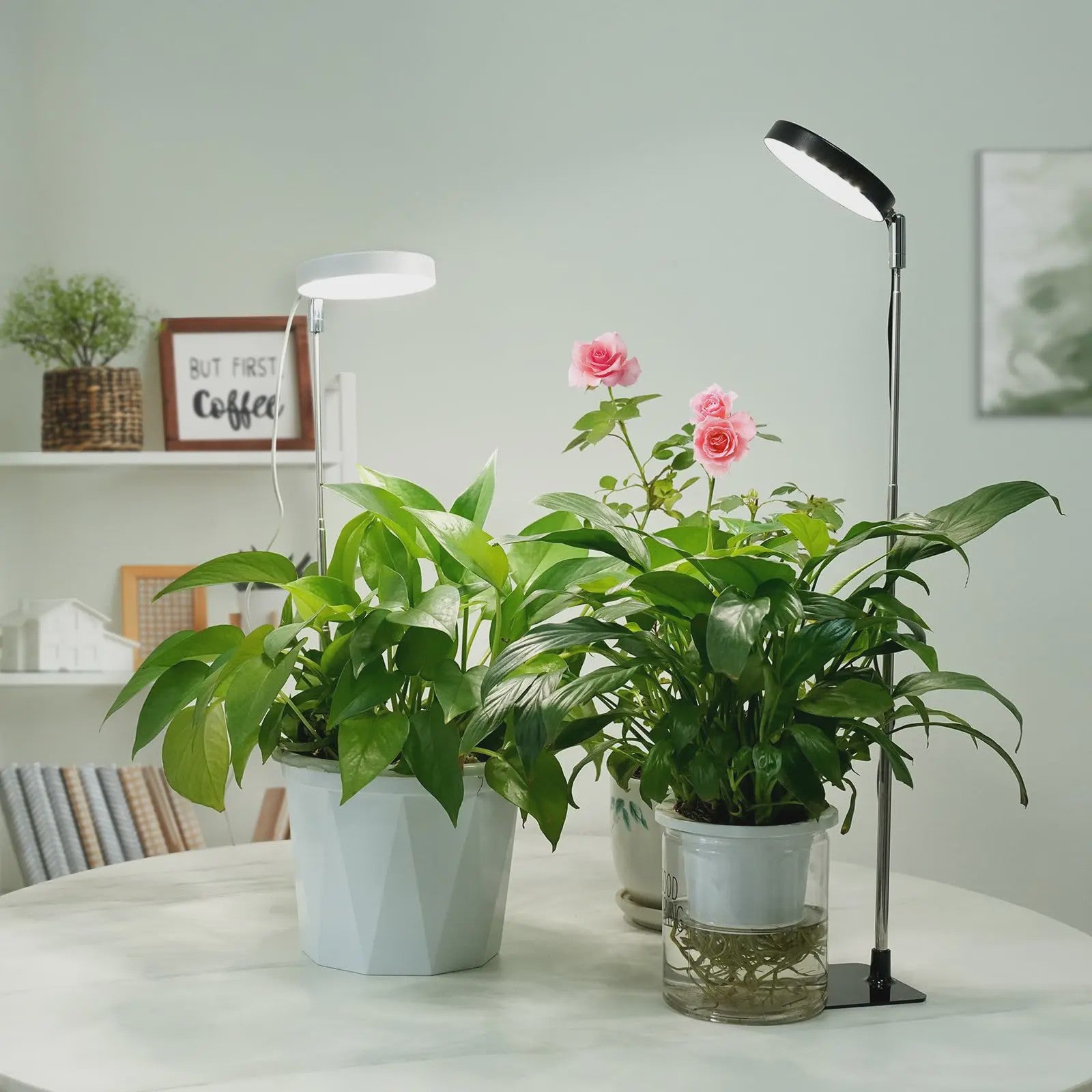 Full Spectrum LED Plantenlamp met 48 LEDs, Instelbare Hoogte & Timer