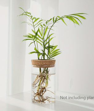 Glazen Hydroponics Vaas - Plantenstekken Station & Decoratie