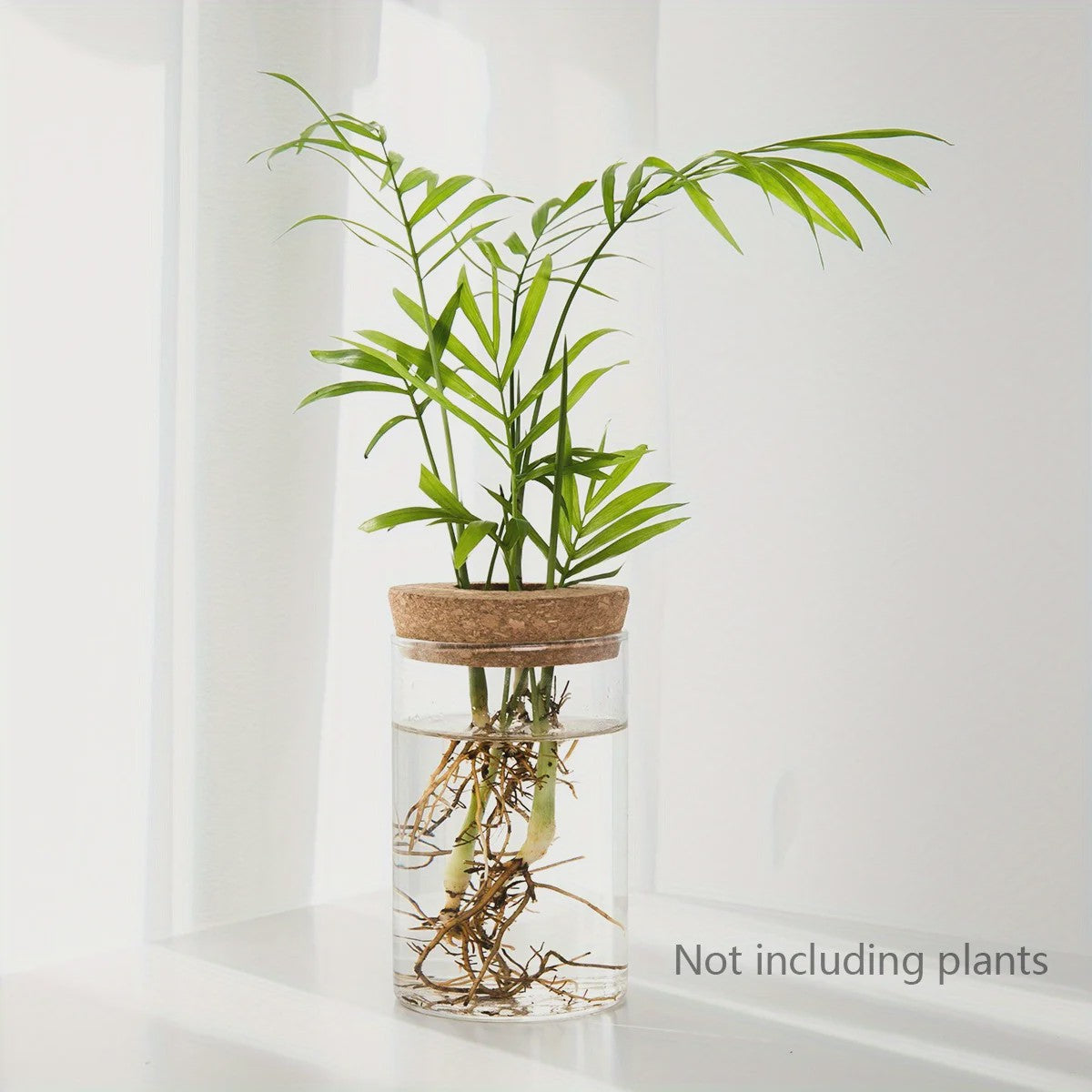 Glazen Hydroponics Vaas - Plantenstekken Station & Decoratie