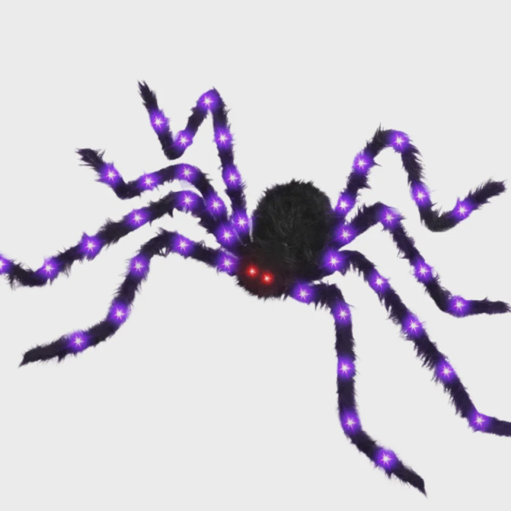 Grote Halloween Spider Web Verlichting met 250 LED's en Gigantische Spin - 5 Meter