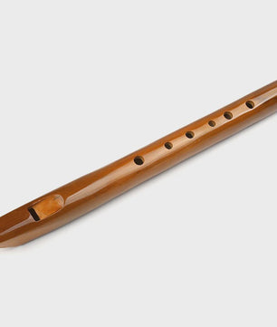 D-toets Bamboe Blokfluit - Draagbaar Houtblaasinstrument met Tas