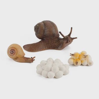 Educatieve Levenscyclus Figuren: Snail, Mantis & Sprinkhaan