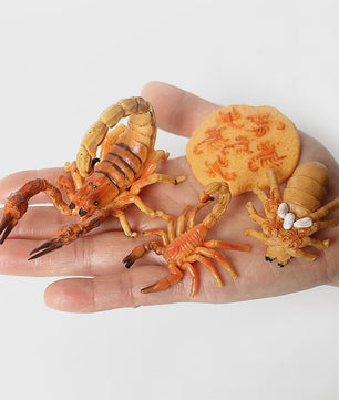 Montessori Levenscyclus Insecten Speelgoed: Spin, Duizendpoot, Schorpioen & Mier