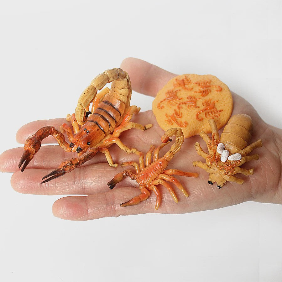 Montessori Levenscyclus Insecten Speelgoed: Spin, Duizendpoot, Schorpioen & Mier