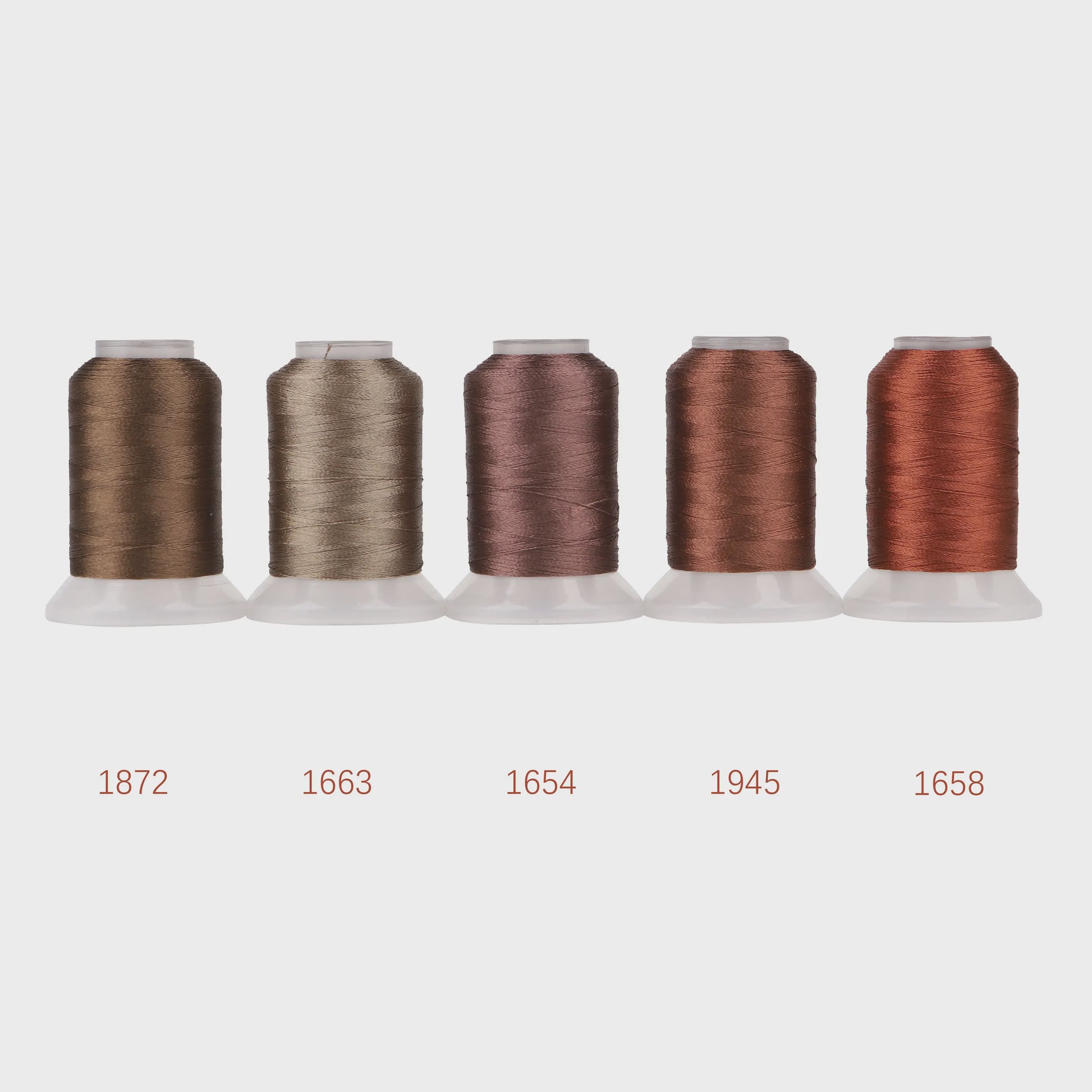 80 Kleuren Premium Polyester Borduurzijde Set - 500M Spoelen voor Huisborduurmachines