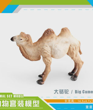 Realistische Dromedaris & Baktriaanse Kameel Figuren - Desktop Ornament