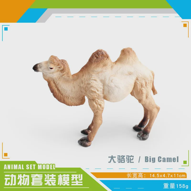 Realistische Dromedaris & Baktriaanse Kameel Figuren - Desktop Ornament