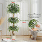 Kunst Ficus Boom met Gebogen Stam en Witte Pot - Realistische Zijde Plant voor Binnen & Buiten