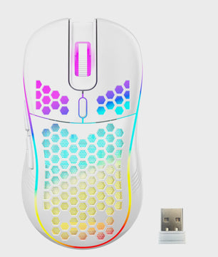 RGB Gaming Muis met Honingraat Design, 7200 DPI, Ergonomisch & Bedraad