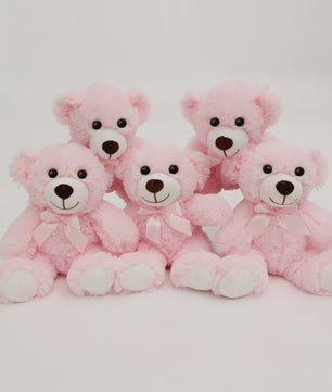 Set van 5 Pluche Teddyberen - 35cm - Knuffel Cadeau voor Kinderen & Vriendinnen