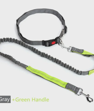 Handsfree Hondenriem met Verstelbare Tailleband - Ideaal voor Hardlopen, Joggen & Fietsen met Grote Honden