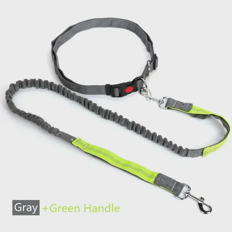 Handsfree Hondenriem met Verstelbare Tailleband - Ideaal voor Hardlopen, Joggen & Fietsen met Grote Honden