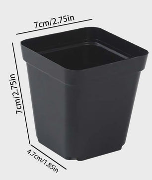 50 Stuks Vierkante Plastic Kweekpotjes voor Zaailingen en Planten