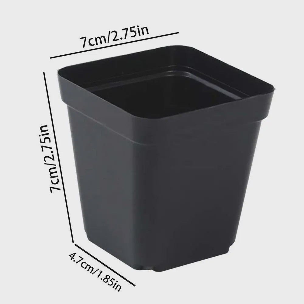 50 Stuks Vierkante Plastic Kweekpotjes voor Zaailingen en Planten