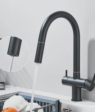 Keukenmengkraan met Uittrekbare Douchekop en Waterfilter - Goudkleurig