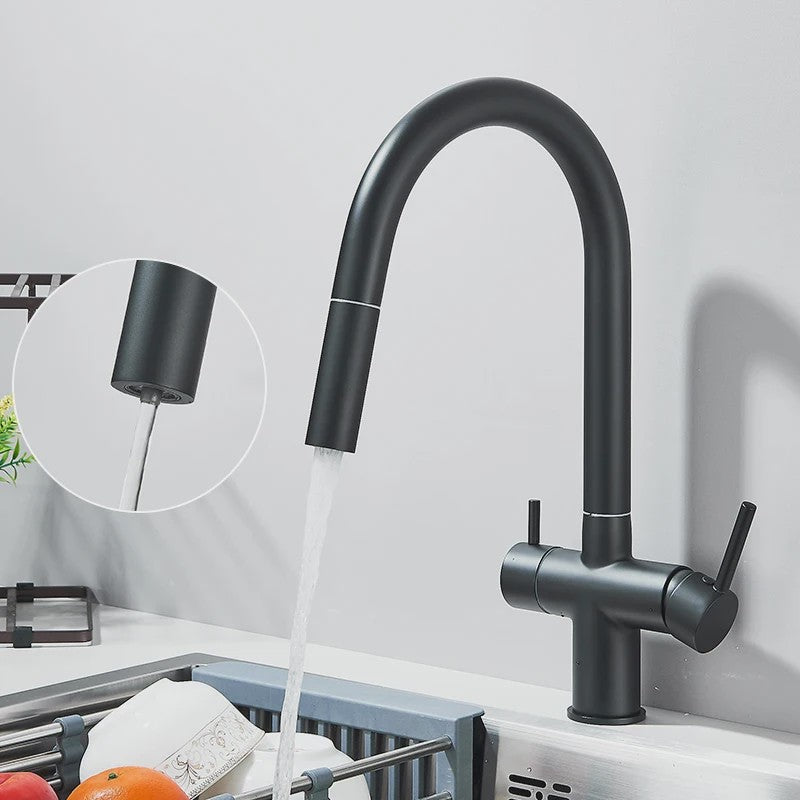 Keukenmengkraan met Uittrekbare Douchekop en Waterfilter - Goudkleurig