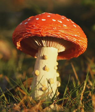 Set van Decoratieve Paddenstoelen Beeldjes - Hars Tuindecoratie Ornamenten