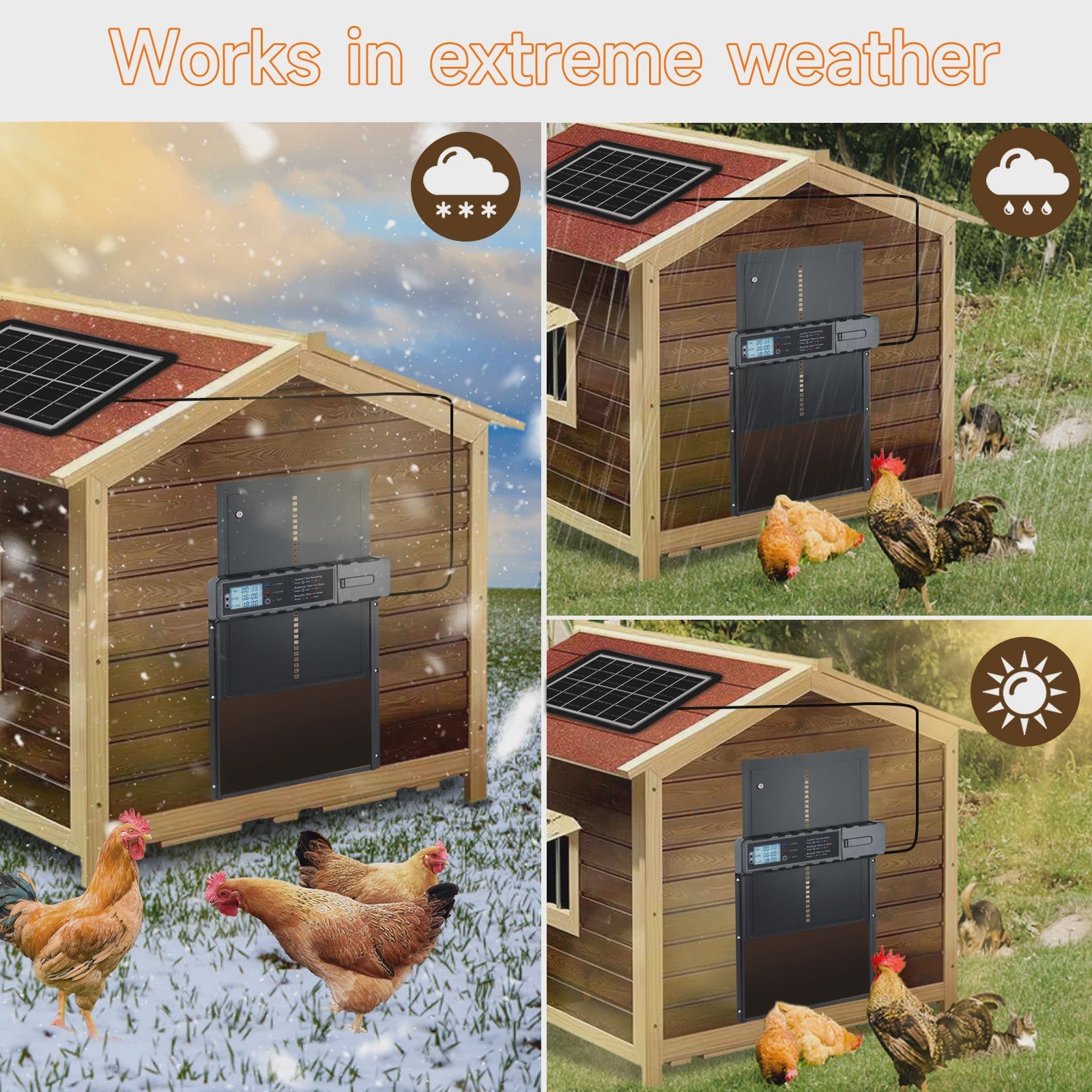 Automatische Kippenhok Deur met Zonnepaneel, Timer & Afstandsbediening - Veilig en Gemakkelijk