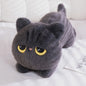 Schattige Pluche Kat Knuffel - Zacht Kussen en Dekentje, Perfect Cadeau