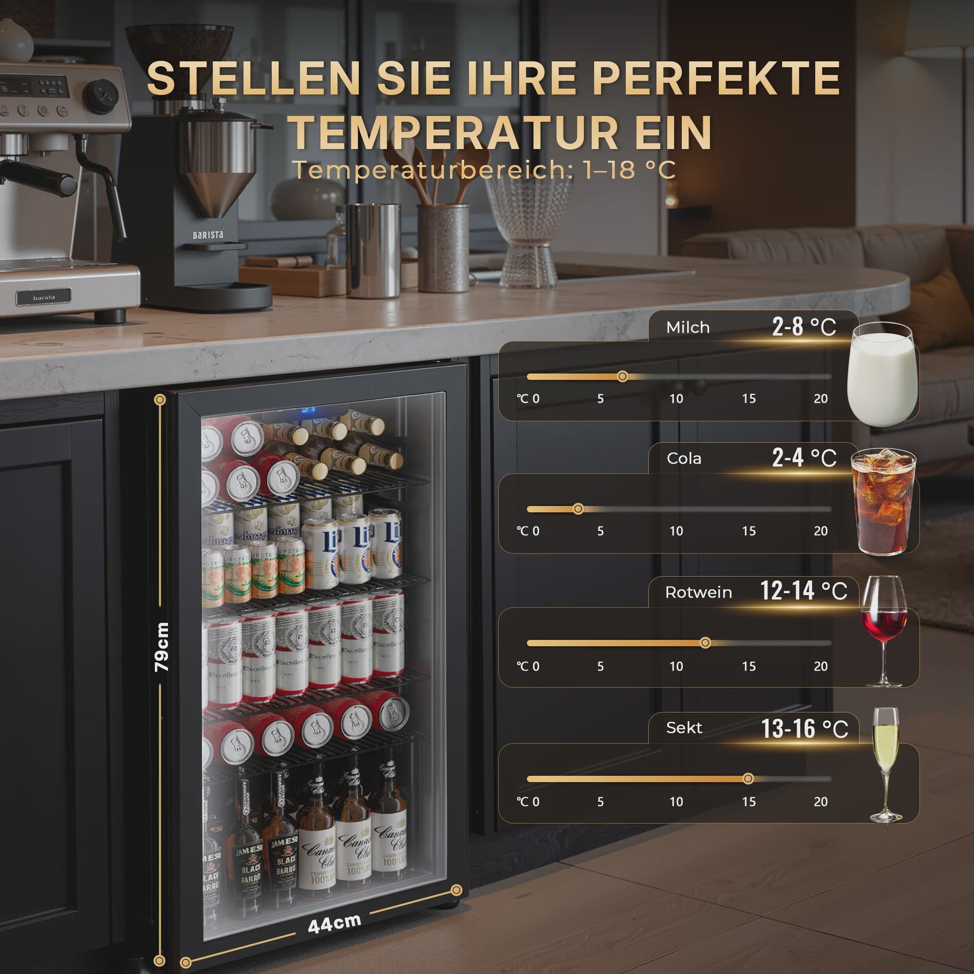 89L Drankenkoelkast met No Frost, Dubbel Glas & Omkeerde Deur - Energieklasse B