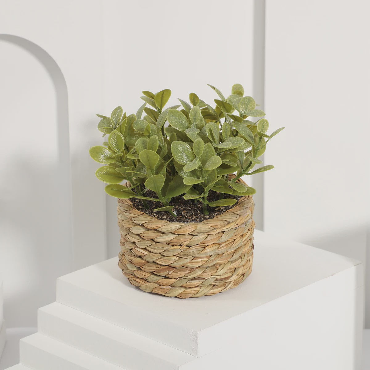 Kunstplant Eucalyptus Gras in Geweven Pot - Groen, 11cm