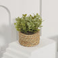 Kunstplant Eucalyptus Gras in Geweven Pot - Groen, 11cm