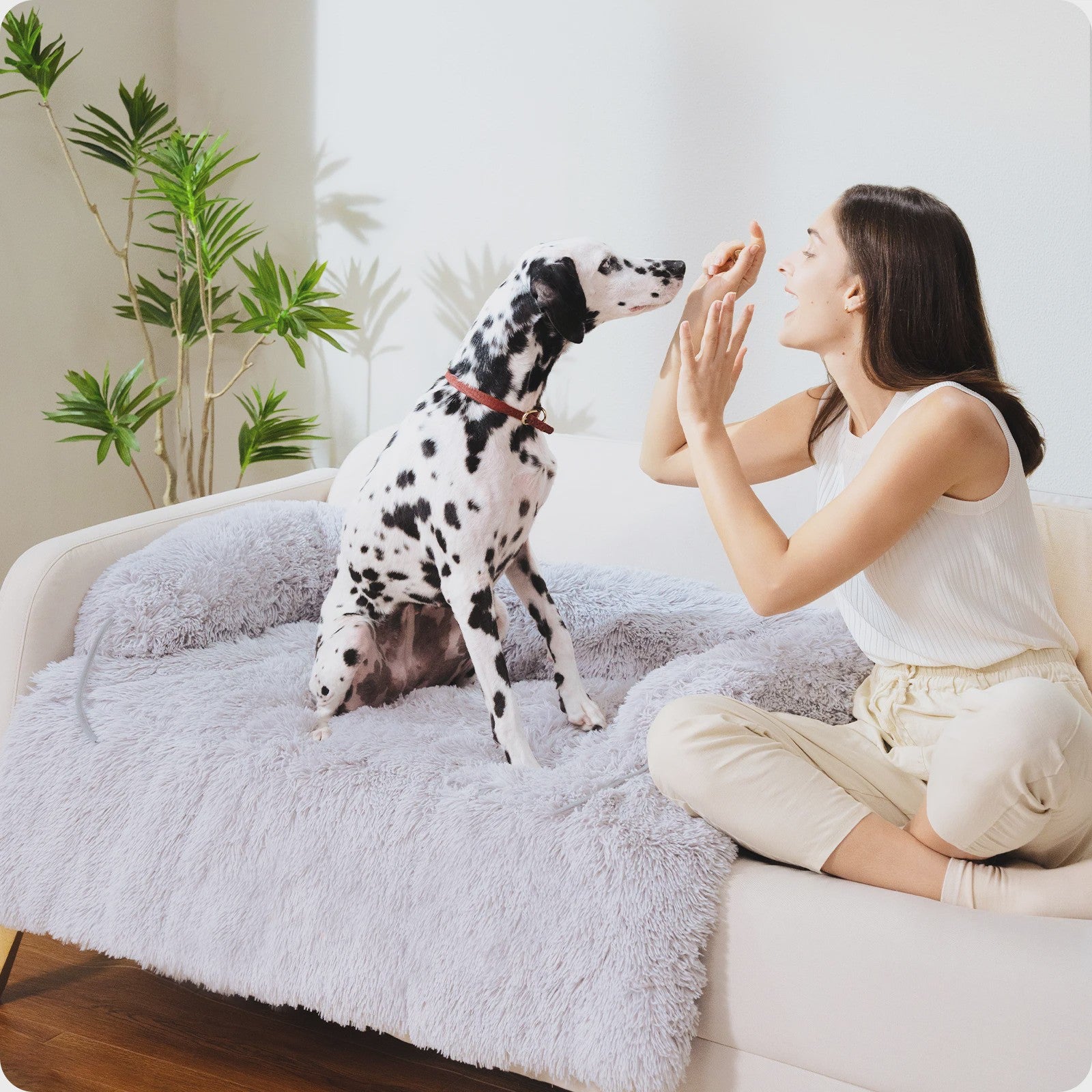 Luxe Fluffy Hondenkussen - Extra Zacht & Wasbaar Hondensofa voor Winterse Warmte