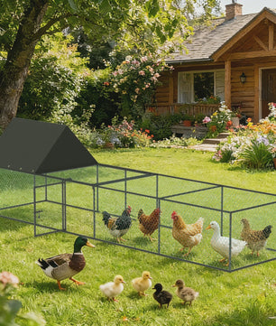 Ruime Metalen Kippenren 319cm - Walk-in Kippenhok met Dak en Nylon Netting