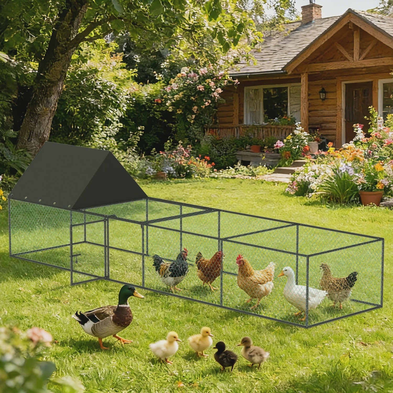 Ruime Metalen Kippenren 319cm - Walk-in Kippenhok met Dak en Nylon Netting