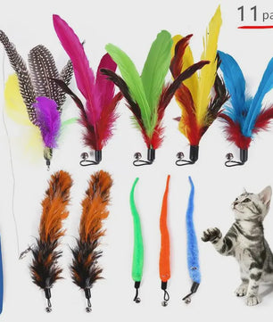 11-delige Katten Speelgoed Set met Veren en Intrekbare Hengel - Interactief Plezier voor Jouw Kat