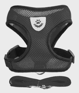Verstelbaar Katten Tuigje met Lijn - Ademend Mesh Vest voor Kleine Honden & Katten