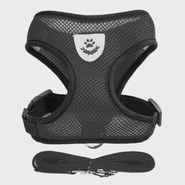 Verstelbaar Katten Tuigje met Lijn - Ademend Mesh Vest voor Kleine Honden & Katten