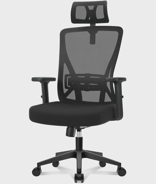 Ergonomische Bureaustoel met Lendesteun en Verstelbare Hoofdsteun - Zwart