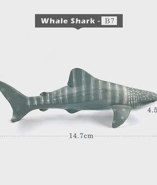 Miniatuur Zeedieren Figuren Set: Orka, Haai, Walrus, Zeeleeuw, Schildpad & Dolfijn