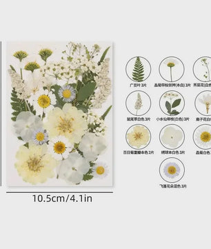 30 Stuks Gedroogde Persbloemen - Natuurlijke Bloemen & Bladeren voor Resin Art, Knutselen en Decoratie
