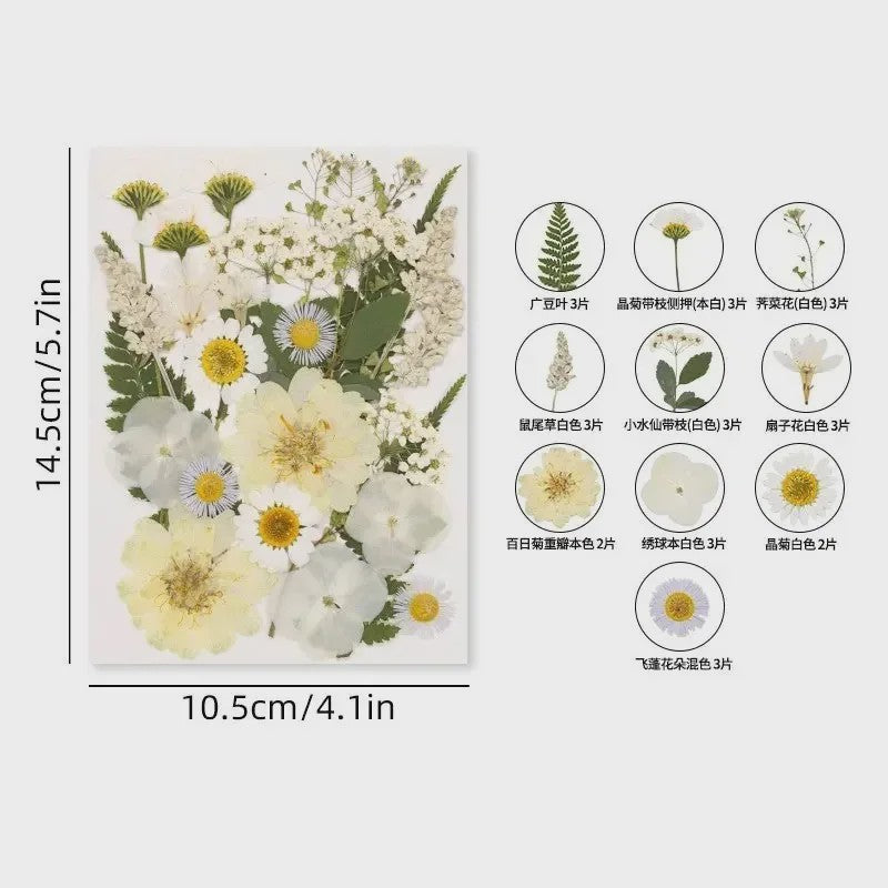 30 Stuks Gedroogde Persbloemen - Natuurlijke Bloemen & Bladeren voor Resin Art, Knutselen en Decoratie