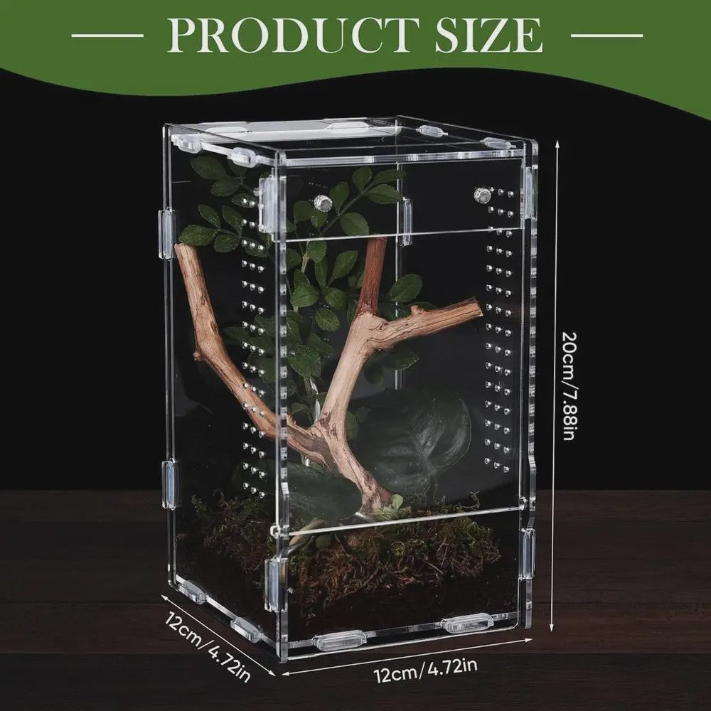 Transparant Acryl Terrarium Kweekbak voor Reptielen, Amfibieën & Spinnen