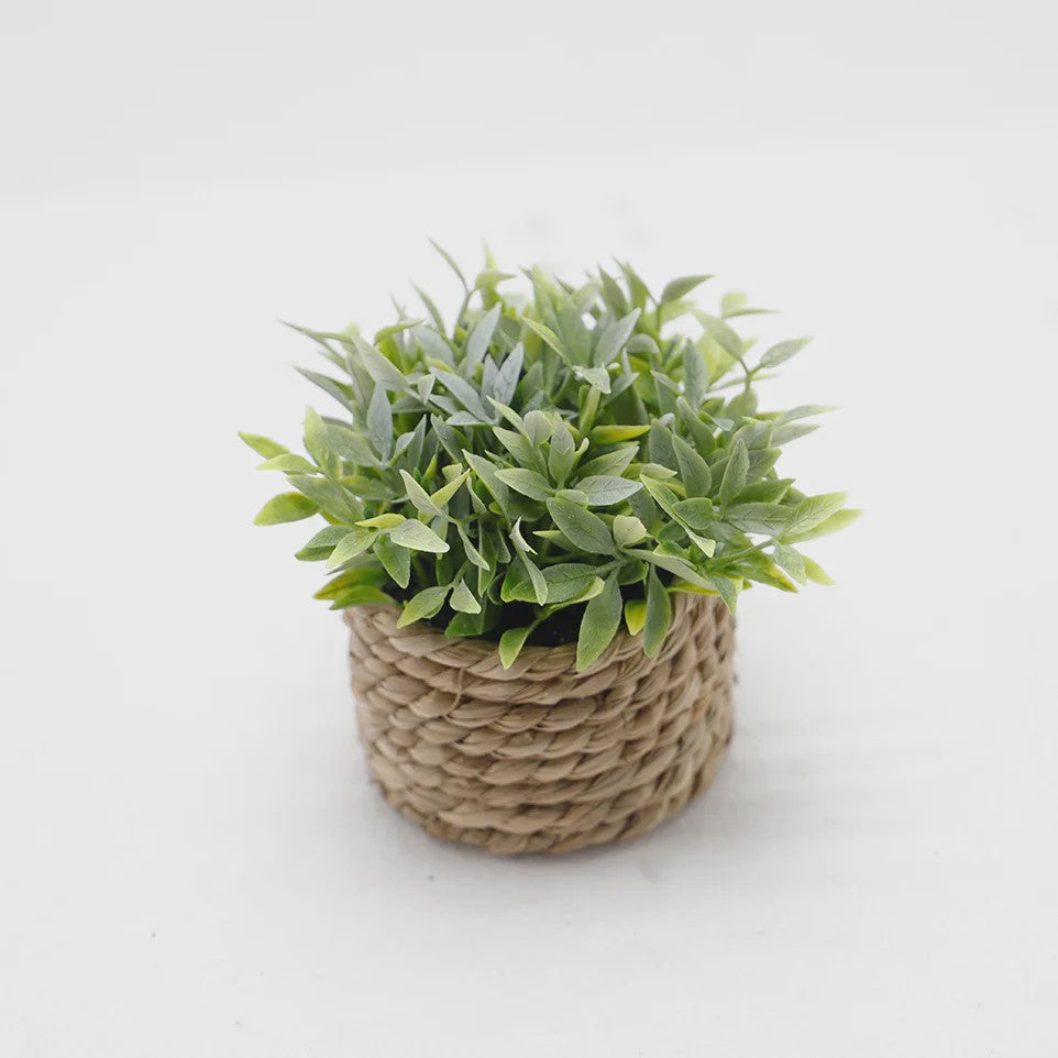Kunstplant Eucalyptus Gras in Geweven Mandje - Decoratieve Kunstplant voor Huis & Kantoor