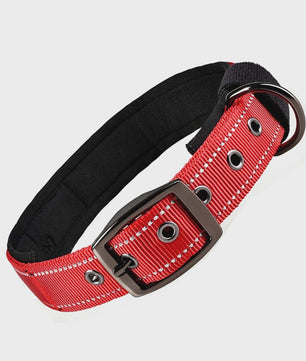 Veilige Hondenhalsband met Reflecterende Strepen - Ontsnappingsbestendig Nylon, Zachte Vulling & Snel-Sluiting
