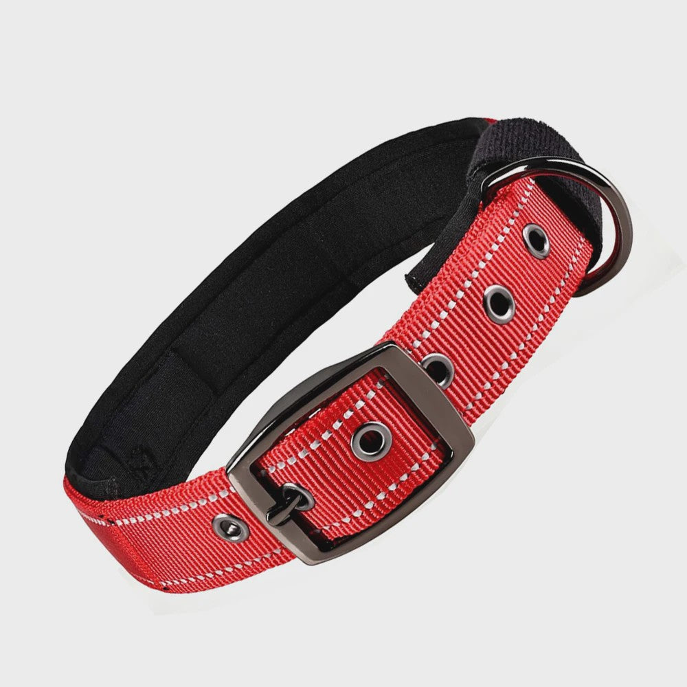 Veilige Hondenhalsband met Reflecterende Strepen - Ontsnappingsbestendig Nylon, Zachte Vulling & Snel-Sluiting