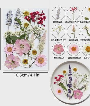 Set Gedroogde Bloemen & Bladeren (16-19 Stuks) - Natuurlijk & Realistisch