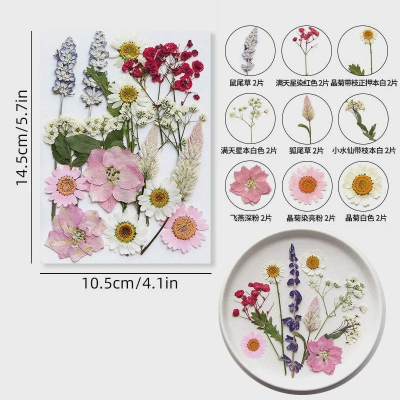 Set Gedroogde Bloemen & Bladeren (16-19 Stuks) - Natuurlijk & Realistisch