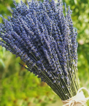 Natuurlijke Gedroogde Lavendel Bundels (50/100 Stuks) - Decoratie & Aromatherapie