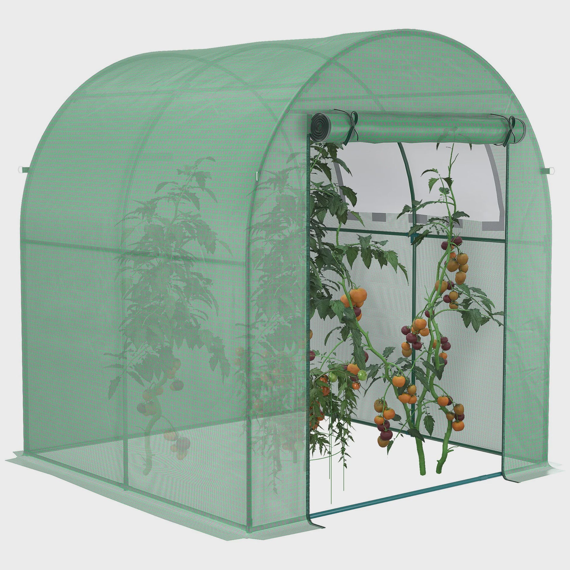 Outsunny Kweekkas 180x180x200 cm met Roldeur en Mesh Raam