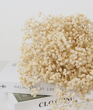 60g Gedroogde Baby's Breath Bloemboeket - Natuurlijke Gypsophila Decoratie