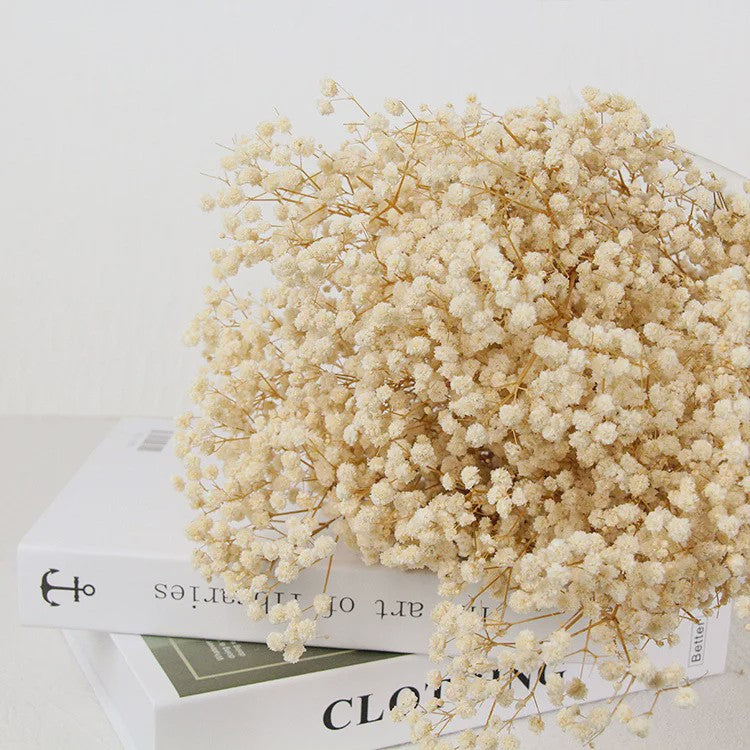 60g Gedroogde Baby's Breath Bloemboeket - Natuurlijke Gypsophila Decoratie
