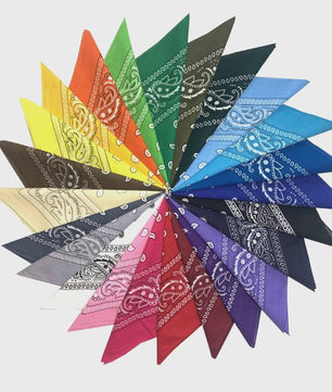 20-delige Set Paisley Bandana Sjaaltjes - Kleurrijk & Veelzijdig voor Mannen en Vrouwen