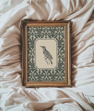 Retro Insect Canvas Print: Libelle, Bij & Kolibrie Poster voor Farmhouse & Moderne Decoratie